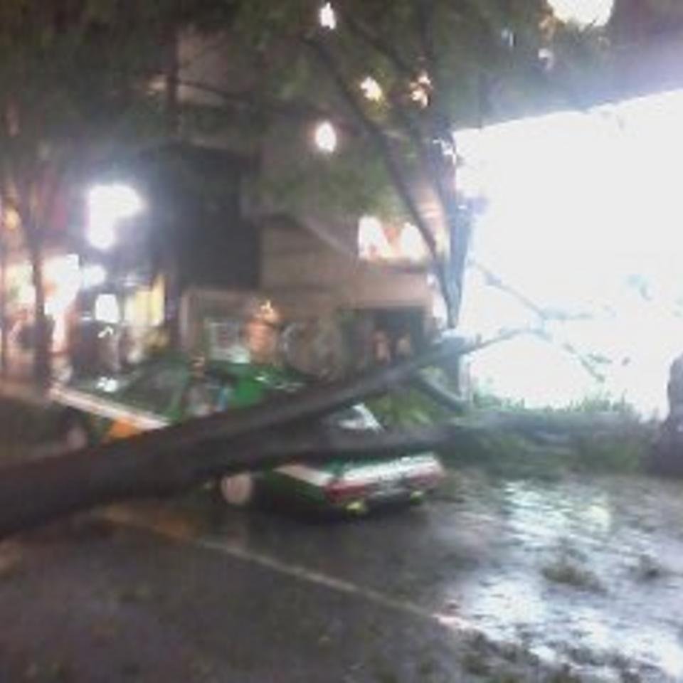 Car crushed in Tokyo typhoon - credit: Finlay Thompson