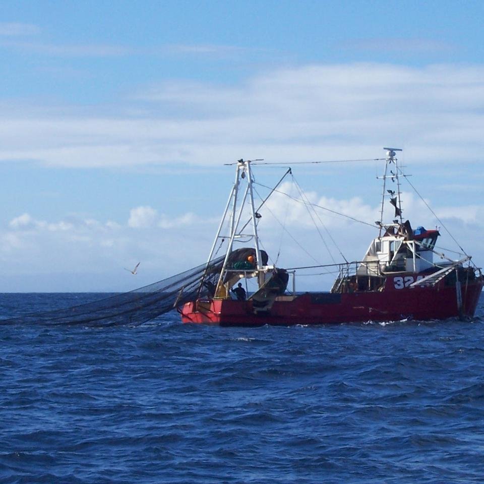 In inshore trawler in the Hauraki Gulf. (Photo: J Pierre). - credit: 