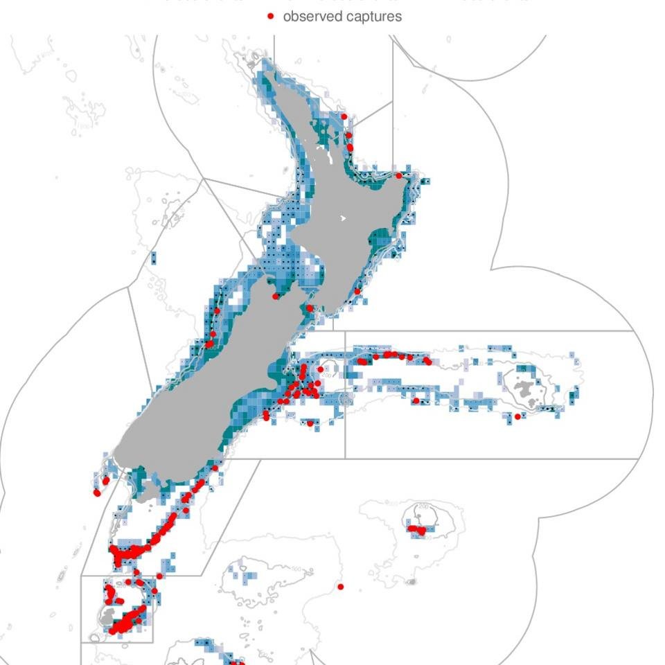 Observed seabird captures in New Zealand trawl fisheries during the 2010&ndash;11 fishing year. - credit: CC-BY Dragonfly Science
