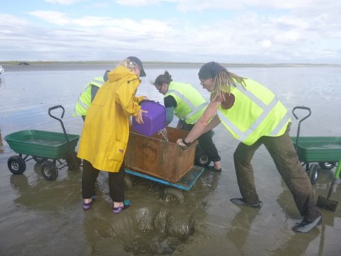 The survey team in action, credit Katrin Berkenbusch.